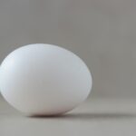 a white egg sitting on top of a table