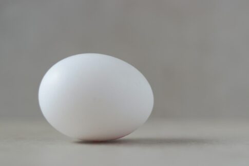 a white egg sitting on top of a table